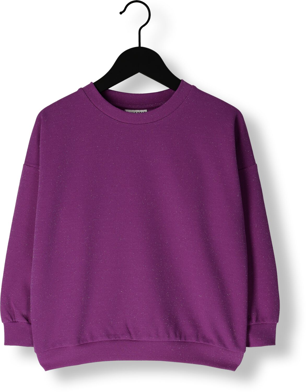 DAILY BRAT Meisjes Truien & Vesten Peppy Glitter Sweater Paars
