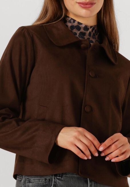 Bruine NEO NOIR Jack NILO SUEDE JACKET - large