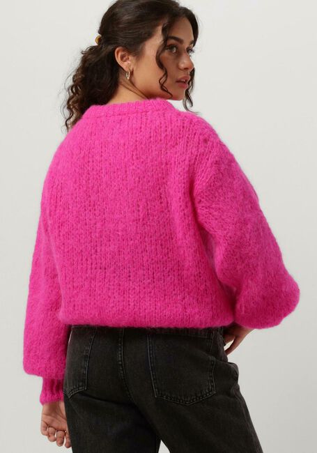 Roze AMERICAN DREAMS Trui LEONNIE ALPACA PULLOVER - large
