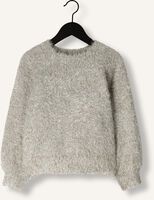 Zilveren DAILY BRAT Trui STARDAZZLE SWEATER - medium