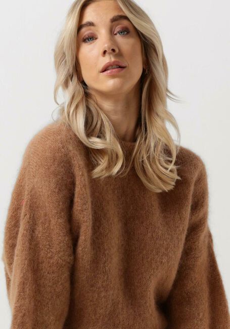 Camel BELLAMY Trui CHANTAL - large