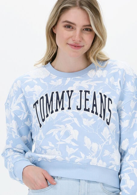 Lichtblauwe TOMMY JEANS Trui TJW AOP CREW - large
