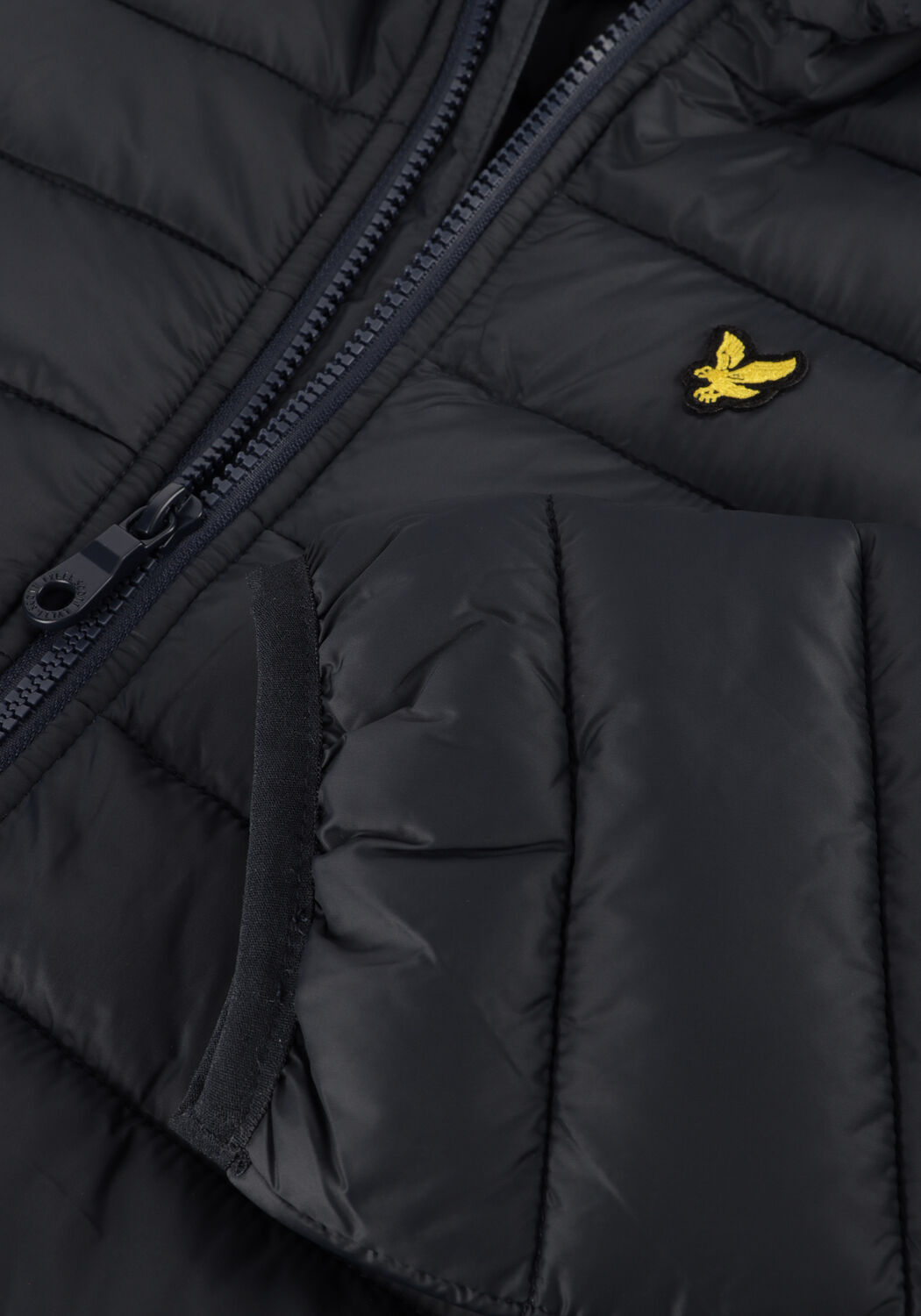 Donkerblauwe LYLE & SCOTT Gewatteerde jas LIGHTWEIGHT PADDED JACKET - large