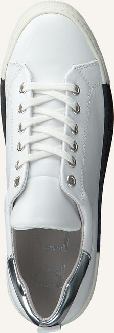 Witte ROBERTO D'ANGELO Lage sneakers BREST Witte ROBERTO D'ANGELO Lage sneakers BREST - large