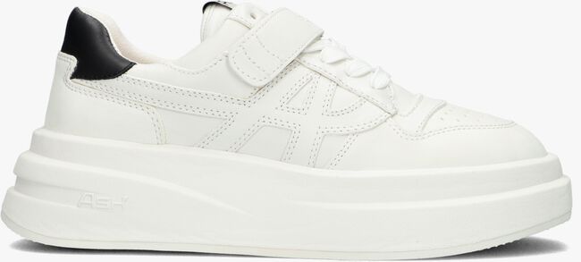 Witte ASH Lage sneakers INDY - large