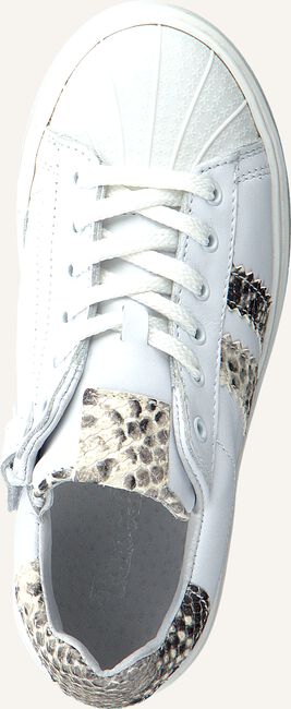 Witte PINOCCHIO Lage sneakers P1834 Witte PINOCCHIO Lage sneakers P1834 - large