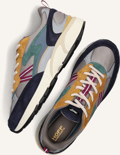Multi THE HOFF BRAND Lage sneakers MASSACHUSETTS Multi THE HOFF BRAND Lage sneakers MASSACHUSETTS - large