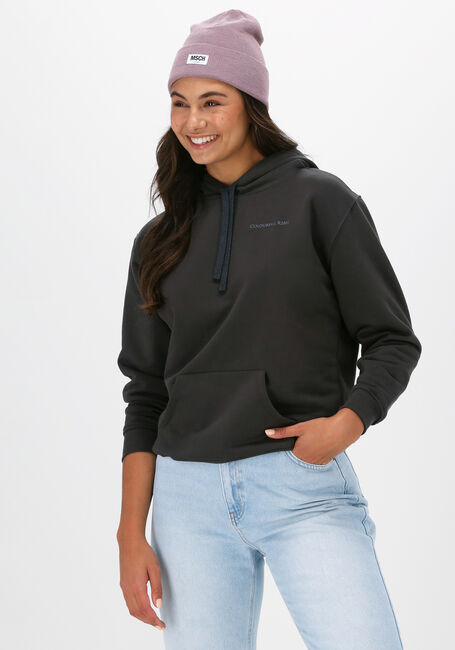 Grijze COLOURFUL REBEL Sweater UNI OVERSIZED HOODY - large