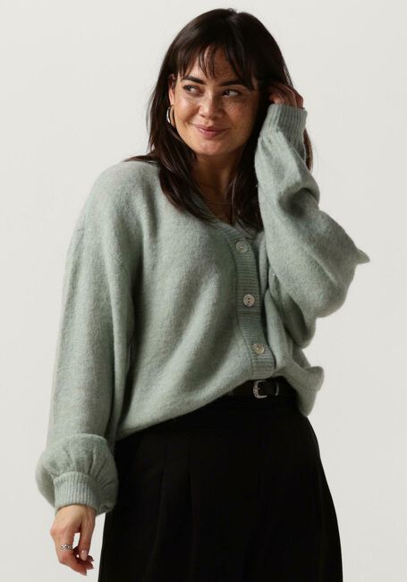 Groene MSCH COPENHAGEN Trui MSCHPETRINELLE HOPE CARDIGAN - large