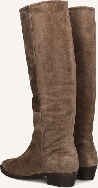 TORAL 12777 TORAL 12777 - large