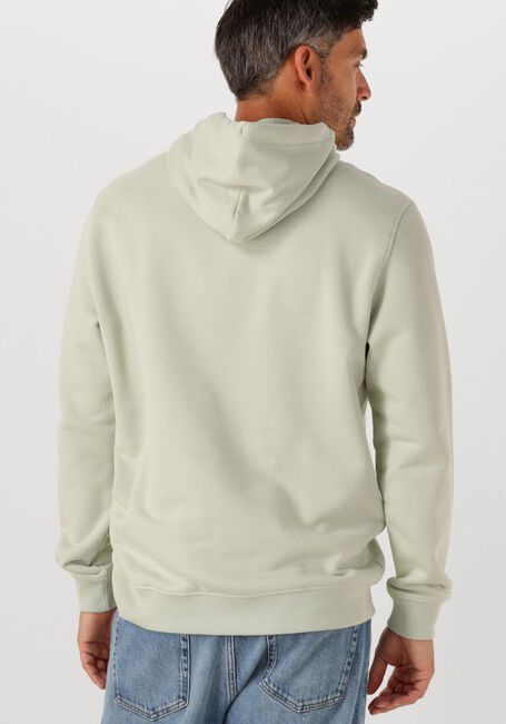 Mint TOMMY JEANS Trui TJM REG BADGE HOODIE EXT - large