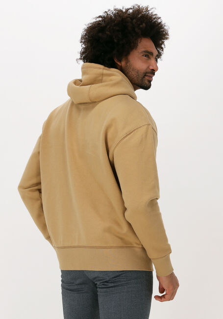 Khaki TOMMY JEANS Sweater TJM TINY TOMMY CIRCULAR HOODIE - large