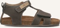 Bruine TON & TON Sandalen FENRIS - medium
