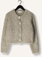 Gouden KNIT-TED Vest LYNN CARDIGAN Gouden KNIT-TED Vest LYNN CARDIGAN - medium