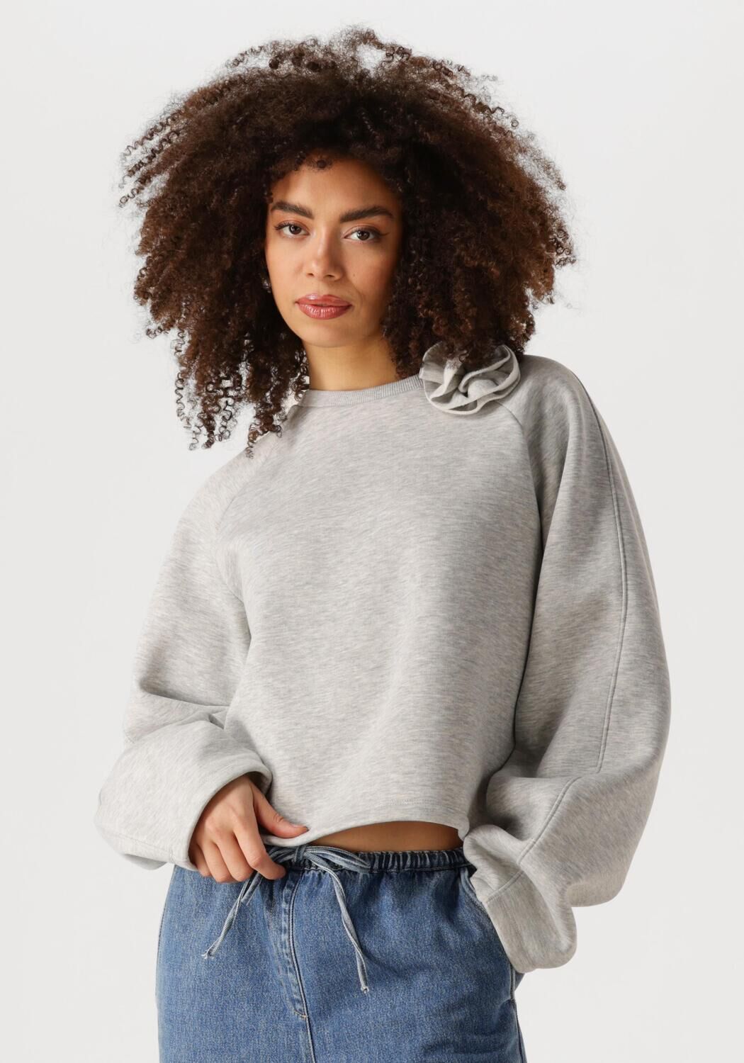 EDITED Dames Truien & Vesten Xezal Sweater Grijs