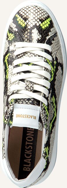 Beige BLACKSTONE Lage sneakers TW91 Beige BLACKSTONE Lage sneakers TW91 - large