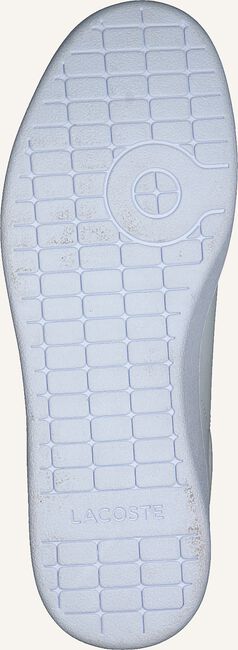 Witte LACOSTE Lage sneakers CARNABY EVO DAMES Witte LACOSTE Lage sneakers CARNABY EVO DAMES - large