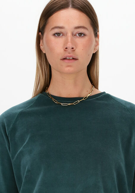 Groene BY-BAR Sweater TEDDY VELVET SWEATER - large