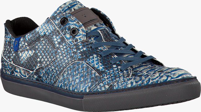Blauwe FLORIS VAN BOMMEL Lage sneakers 14422 - large
