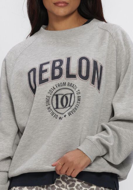 Grijze DEBLON SPORTS Sweater VIVE SWEATER - large