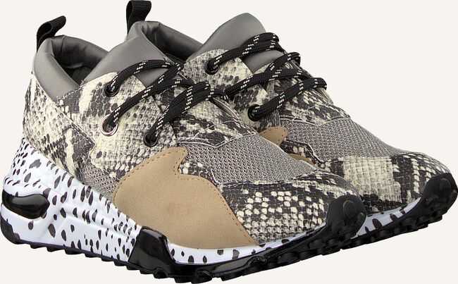 Beige STEVE MADDEN Lage sneakers CLIFF SNEAKER Beige STEVE MADDEN Lage sneakers CLIFF SNEAKER - large