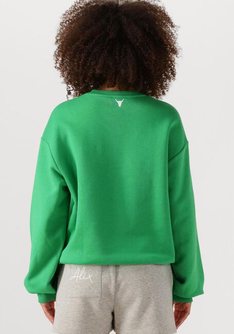 Groene ALIX THE LABEL Trui LADIES KNITTED CLEAN LOGO SWEATER - large