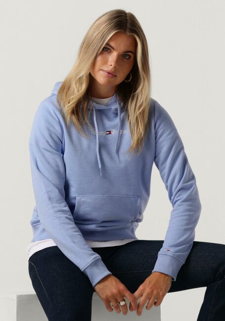Lichtblauwe TOMMY JEANS Sweater REG SERIF LINEAR HOODIE - large