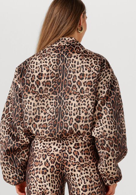 Bruine STUDIO AMAYA Jack FELINE - large