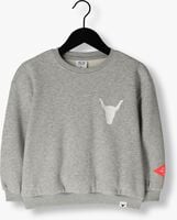 Grijze ALIX MINI Sweater KNITTED BULL SWEATER - medium