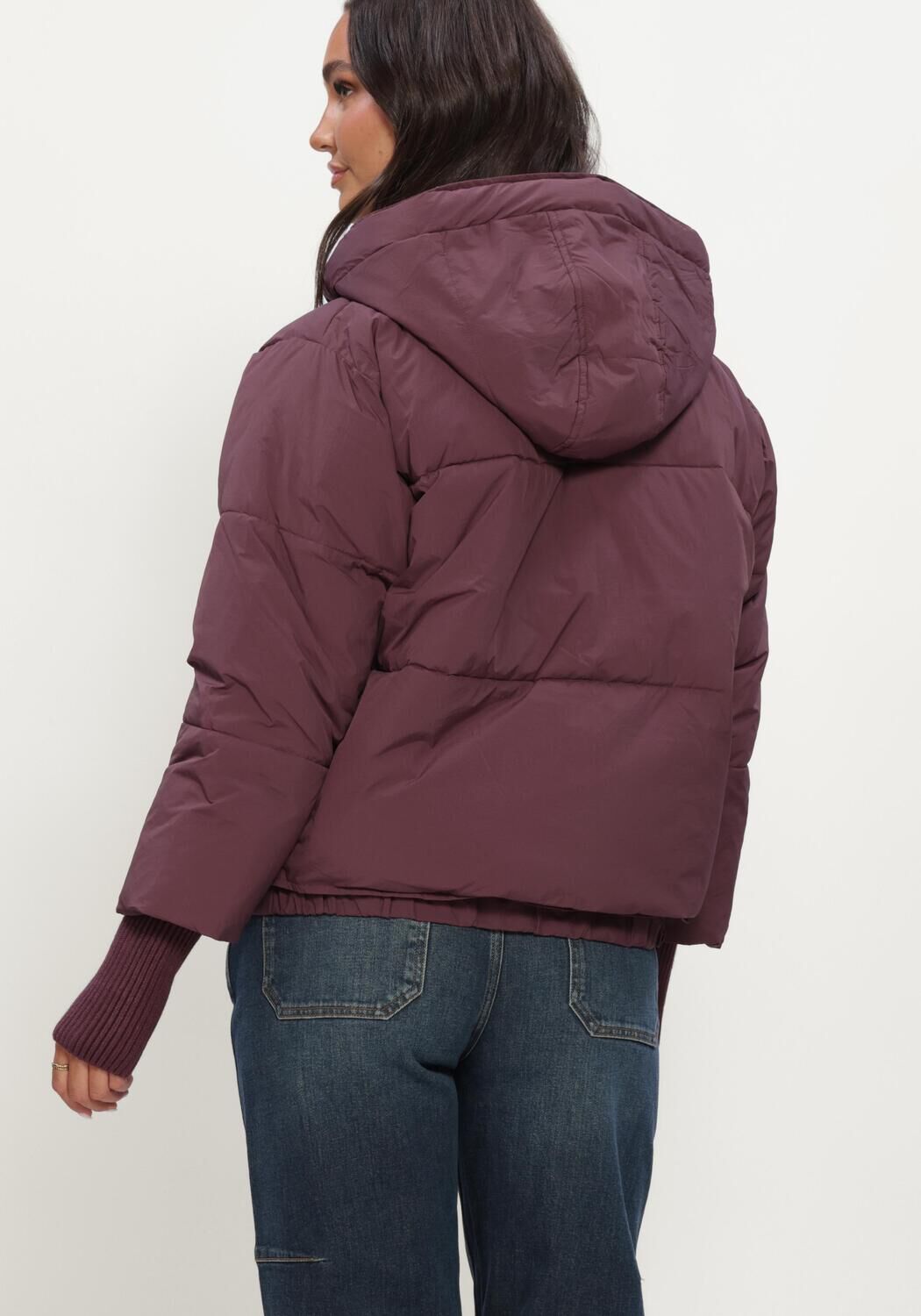 SILVIAN HEACH Dames Jassen Padded Jacket Nedyalk Bordeaux