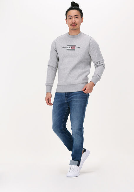 Lichtgrijze TOMMY HILFIGER Sweater LINES HILFIGER CREWNECK Lichtgrijze TOMMY HILFIGER Sweater LINES HILFIGER CREWNECK - large