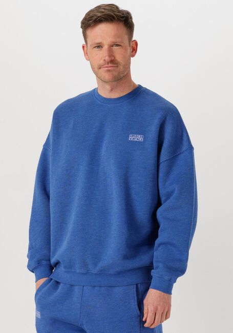 Blauwe AMERICAN VINTAGE Trui DOVEN H - large