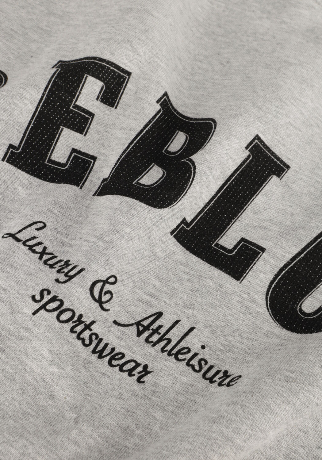 Grijze DEBLON SPORTS Sweater PUCK SWEATER - large