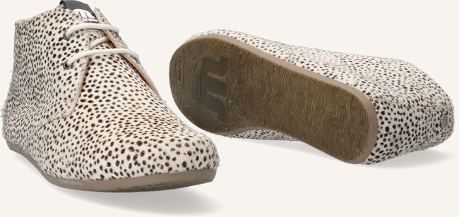 Beige MARUTI Veterschoenen GIMLET Beige MARUTI Veterschoenen GIMLET - large