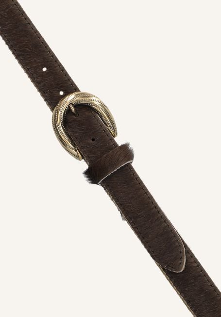 Bruine NOTRE-V Riem 4311 Bruine NOTRE-V Riem 4311 - large