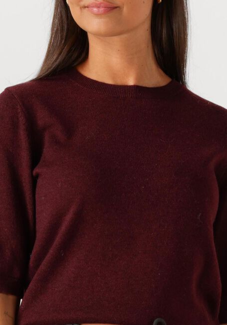 Bordeaux CIRCLE OF TRUST T-shirt PAULA TOP - large
