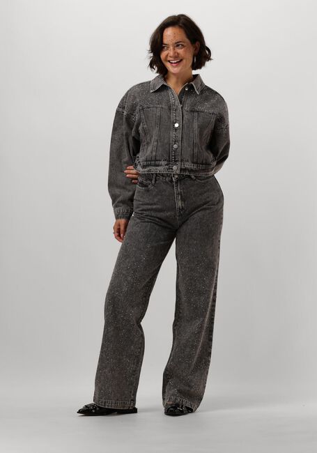Grijze FREEBIRD Straight leg jeans MELODY - large