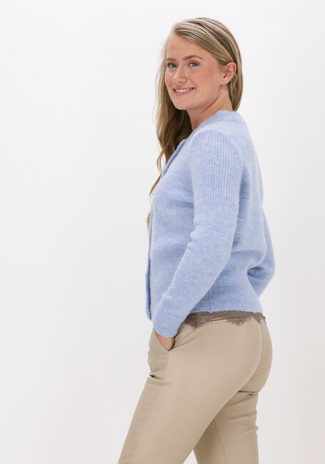 Lichtblauwe SELECTED WOMEN Vest SLFSIA LS KNIT CARDIGAN B - large