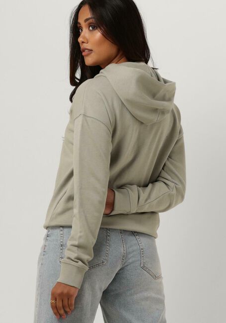 Groene TOMMY JEANS Sweater TWJ BXY XS BADGE HOODIE - large