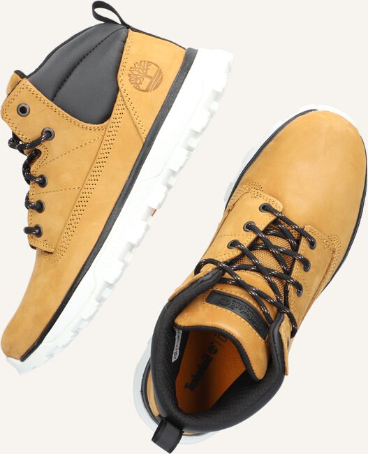 Camel TIMBERLAND Hoge sneakers TREELINE MID Camel TIMBERLAND Hoge sneakers TREELINE MID - large
