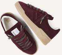 Bordeaux VIA VAI Lage sneakers SAM KYLI Bordeaux VIA VAI Lage sneakers SAM KYLI - medium