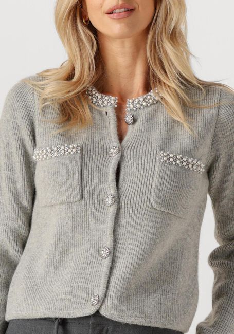 Lichtgrijze SUNCOO Vest GARVI - large