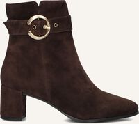 NOTRE-V 8552 - medium