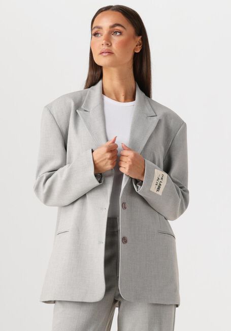 Lichtgrijze ALIX THE LABEL Blazer LADIES WOVEN FOIL STRIPE BLAZER - large