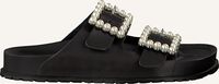 Zwarte STEVE MADDEN Slippers NORA FLAT - medium