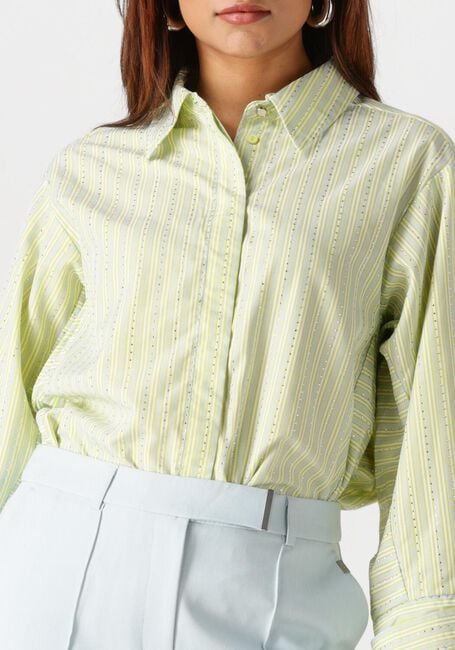 Groene AAIKO Blouses ELDA STRASS CO 599 - large
