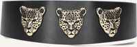 Zwarte NIKKIE Riem XOLANI WAIST BELT - medium