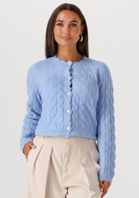 Lichtblauwe Y.A.S. Trui YASBUBERA LS KNIT CARDIGAN - large
