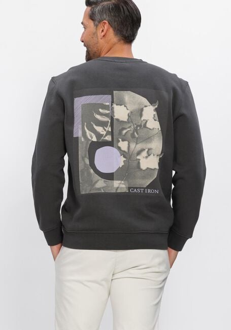 Donkergrijze CAST IRON Sweater RELAXED FIT GRAPHIC - large