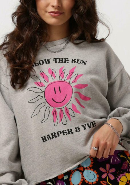 Grijze HARPER & YVE Sweater SMILEY-SW - large